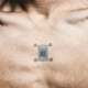 North Sense. IMAGE: Cyborg Nest